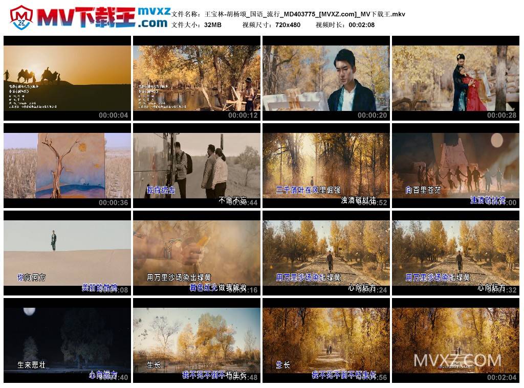 王宝林-胡杨颂_国语_流行_MD403775